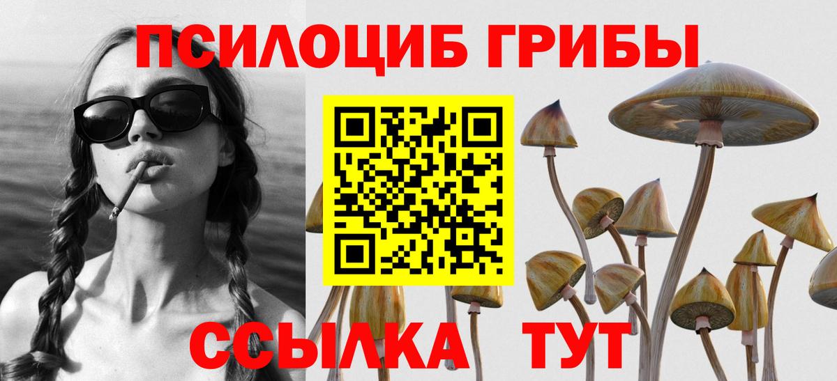 Псилоцибиновые грибы ЛСД Зима