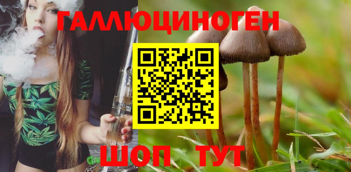 хочу   Псилоцибиновые грибы мицелий  Вход с VPN  Галлюциногенные грибы GOLDEN TEACHER  Зима 